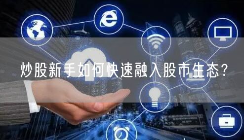 炒股新手如何快速融入股市生态？