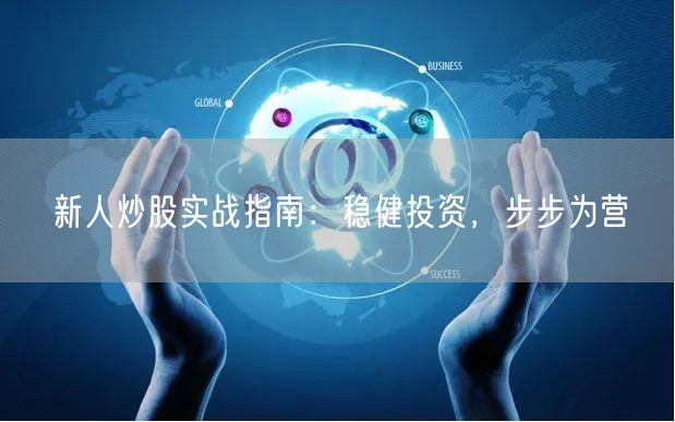 新人炒股实战指南：稳健投资，步步为营