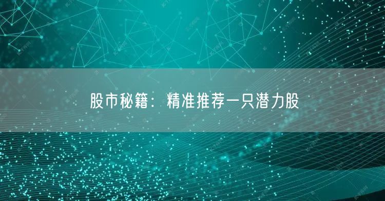 股市秘籍：精准推荐一只潜力股