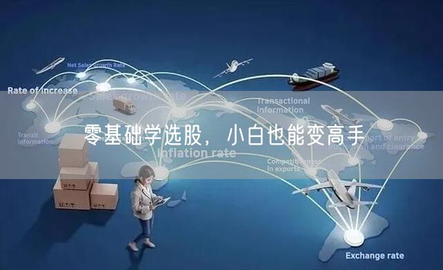 零基础学选股，小白也能变高手