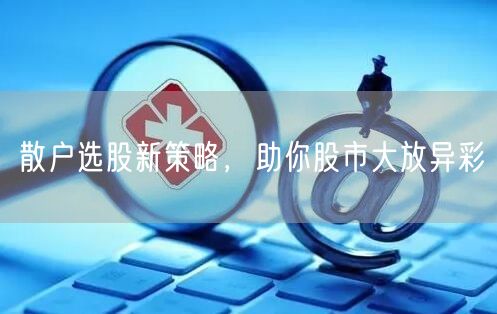 散户选股新策略，助你股市大放异彩