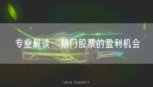 专业解读：热门股票的盈利机会