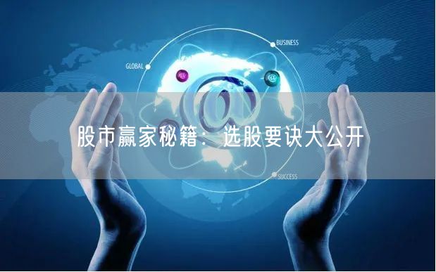 股市赢家秘籍：选股要诀大公开