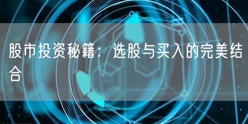 股市投资秘籍：选股与买入的完美结合